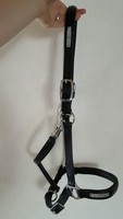 Lederhalfter 