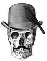 Skull Crow Iron on T shirt Transfer,bibs,bags and Cushions