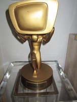 Stefan Raab TV Total Raab Der Woche Pokal Pro7 aus dem Jahre 2002