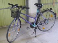 Versand möglich ! Winora Damen Fahrad 28 "