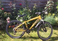 ROBA Kinder-/ Jugendfahrrad Mountainbike *gelb* 26 Zoll