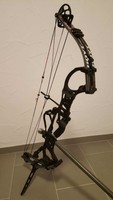 Hoyt Pro Comp Elite LH  Spiral X Cams Black Out 37 3/8 Zoll