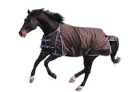 RugBe IceProtect Winterdecke Pferdedecke Weidedecke Turnoutdecke Thermodecke 