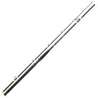 Black Cat Passion Pro Long Range 3,20m - Welsrute