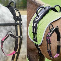 Longiergurt 1 Griff oder Double 2 Griffe BUSSE Longieren Bodenarbeit pferdo24