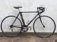 Rennrad Raleigh, 28"