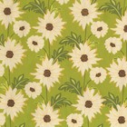 Michael Miller Sandi Henderson Meadow Sweet Daisy Path Fabric in Celery