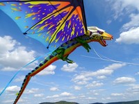 3D-Drachen Drache 193cm new color