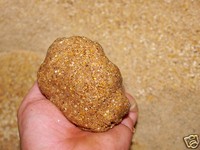 10 kgBasisfutter Angelfutter Karpfen Rotauge Brassen  Lockfutter Boilie 1,79€/kg