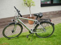 CALVIN Trekking Herrenfahrrad 28 " Bereifung, 