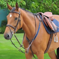 Pferde Vorderzeug, Büffelleder, braun/blau, Epona, Warmblut 