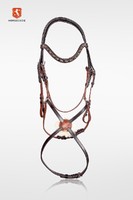 Horsecode Trense SolesteDiamondM VB Braun,schwarz,cob,Vollblut,mexikanisches