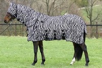 Fliegendecke Zebra Euroriding, Zebra Fliegendecke mit abnehmbarem Halsteil