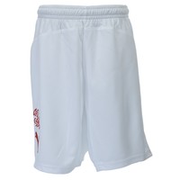 Schweiz Heim Short Puma 733999-16 Trikothose Hose Suisse S M L XL 2XL neu