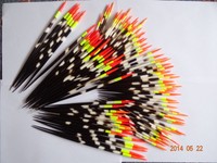 Stachelschwein Stacheln(echte).Stachelschwenborsten.STACHELSCHWEIN-POSE.7-26 cm.