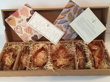 Martha Stewart By Mail Collectible Leaves Leaf Copper Cookie Cutter Set 6 KLC001