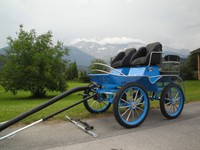 Edelstahl Marathonwagen  Sport Kutsche Kutschen