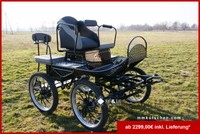 Fahrschulwagen Kutsche Fahrschulwagen Marathonwagen 25" Kutschen schwarz/grau