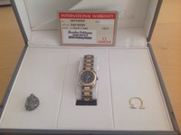 Omega Seamaster Titan/Gold mit 11 Diamanten, Damenuhr