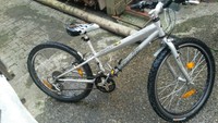  MOUNTAINBIKE mit 21 Gänge, Silber, 26 Zoll