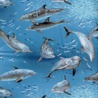 1 Yard Makower 196 Dolphin Fish Ocean Water Blue OOP Cotton Fabric 
