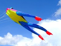 stabloser Drachen: Fritz der Frosch bunt