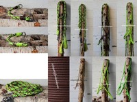 RPS Sidepull,Zügel,Nasenriemen,Ethologisches Halfter, Knotenhalfter  Lime mix