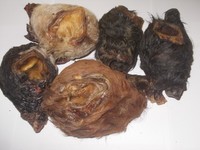  Rinderohrmuschel  mit Fell   5  Stück getrocknet  Leckerli NEU 500 gr