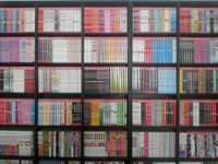 Manga Sammlung
