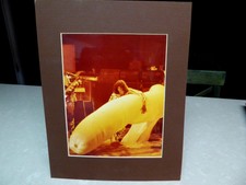 1981 Rolling Stones Concert Photo Inflatable Phallus by Bill Hale matted