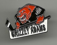 Eishockey Pin Grizzlys Adams Wolfsburg  DEL NHL