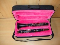 B-Klarinette 14 KEYS ** Hoher Grad! NEW ALBERT SYSTEM + FREE HARD CASE + M/P