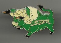 Eishockey Sportbund Rosenheim  DEL NHL