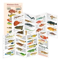 sub-base Logbuch Einlagen Mittelmeer Fische SSI Lochung NEU !!!