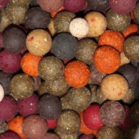 Futterboilies Mix 8-20mm 10kg Karpfen Boilies 