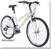 26 Zoll Damenfahrrad Mountainbike Citybike 21 Gänge Damenrad MTB Alu RH 40,6 cm