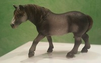 Schleich (13626)  Percheron Hengst Pferd Pferde