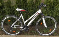 Fahrrad Damen