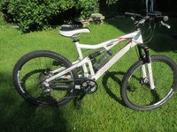Mountainbike Bergamont Evolve 4.8, weiß