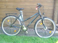 damen Alu Trekking Kreidler Raise RT2 Shimano 21-Gang RH 55 cm Damen Fahrrad 