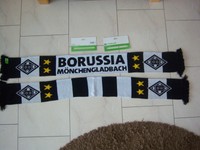 VfL Borussia Mönchengladbach Fanschal Schal Home 2016/17  NEU !!!