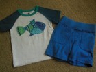BOYS GYMBOREE SHORTS BLUE 2T TEA COLLECTION SHIRT TOP FISH AQUA NAVY PURPLE