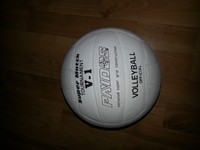 Volleyball