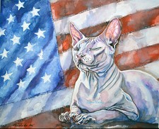 Portrait sphynx cat Us flag patriot.Original watercol painting.animals pets Art