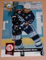 DEL Playercard * Wolfgang Kummer * Düsseldorfer EG * Saison 1995-96