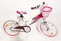 20 ZOLL KINDER FAHRRAD MÄDCHENFAHRRAD KINDERFAHRRAD JUGENDFAHRRAD MÄDCHENRAD