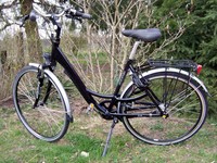 Thun Da City Bike, 8 G. Nabenschltg.-3 Bremsen-Rh 51 cm, verst. Alu Rahmen-neu