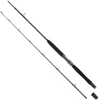 WFT Go North Pilkrute Bootsrute 30 LBS Länge 2,10m WG 200-600 g Norwegenrute