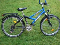 Kinder Mountainbike Pegasus Free X mit 21 Gängen und 24 Zoll Reifen