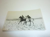 Pferdesport Pferderennen Reitsport Stadion Reittunier um 1935 "391"